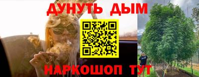 стафф Чапаевск