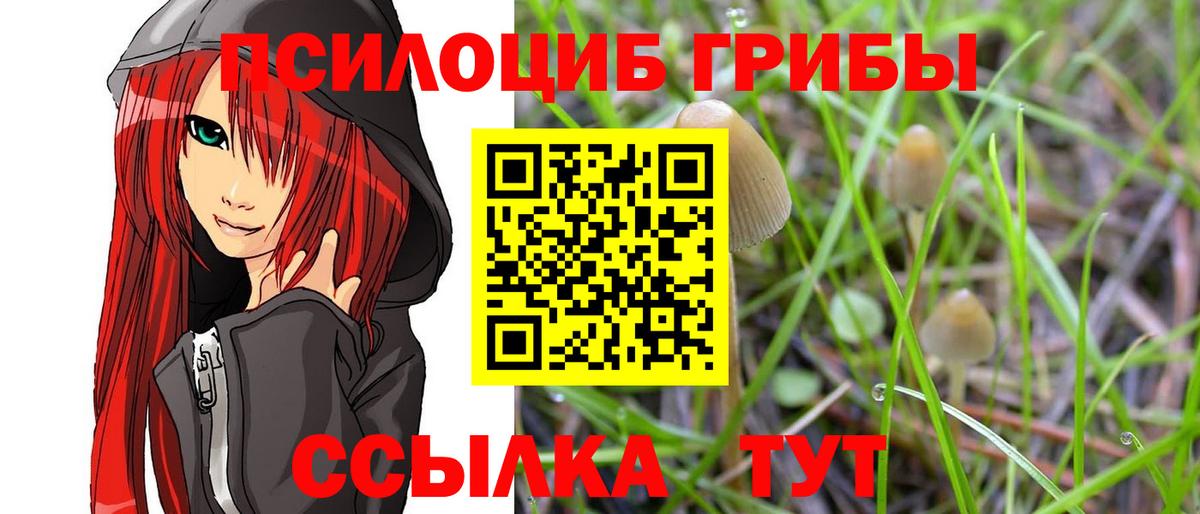 Галлюциногенные грибы Psilocybine cubensis Советский