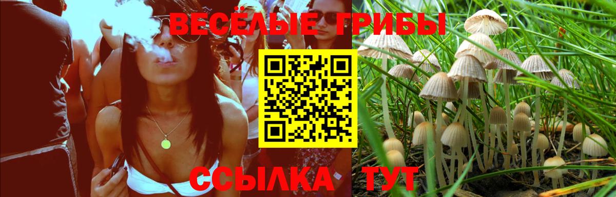 Галлюциногенные грибы Psilocybe  наркотики  Советский  Псилоцибиновые грибы GOLDEN TEACHER  Вход с VPN 
